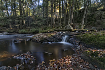 Картинка природа реки озера простор