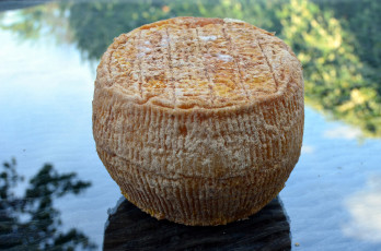 Картинка еда сырные+изделия сыр