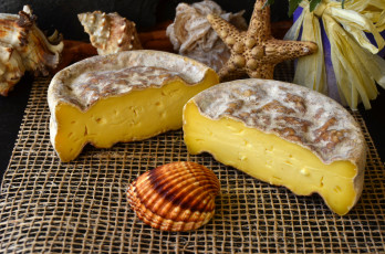 Картинка еда сырные+изделия сыр