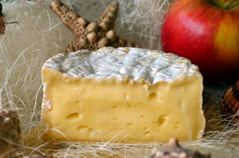 Картинка еда сырные+изделия сыр