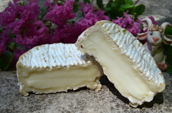 Картинка еда сырные+изделия сыр