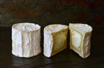 Картинка еда сырные+изделия сыр