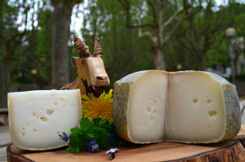 Картинка еда сырные+изделия сыр