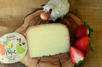 Картинка еда сырные+изделия сыр