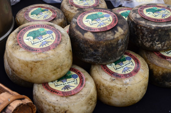 Картинка еда сырные+изделия сыр