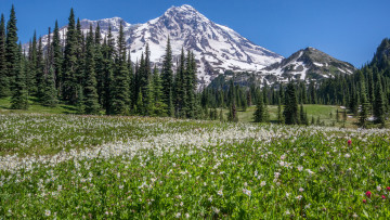 Картинка природа горы простор