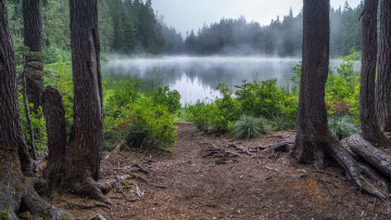 Картинка природа реки озера простор