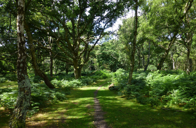 Обои картинки фото природа, дороги, простор