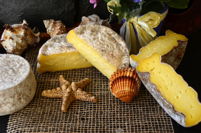 Обои картинки фото еда, сырные изделия, сыр