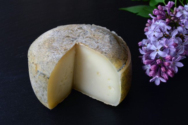 Обои картинки фото еда, сырные изделия, сыр