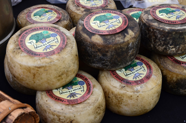 Обои картинки фото еда, сырные изделия, сыр