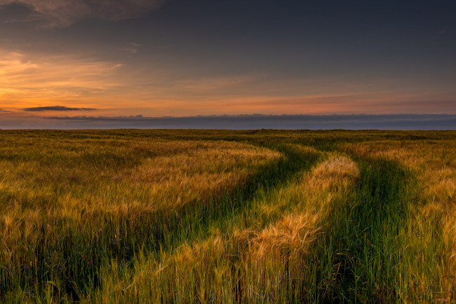 Обои картинки фото природа, дороги, простор