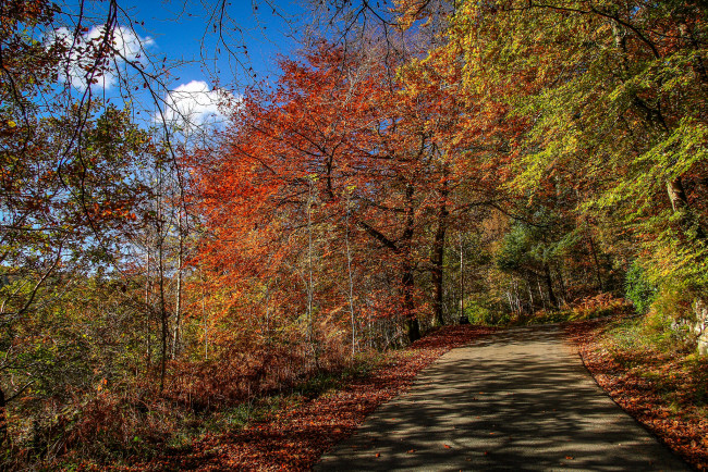 Обои картинки фото природа, дороги, простор