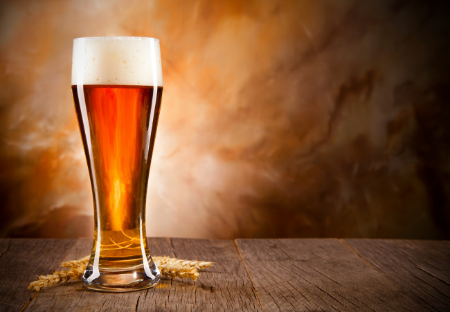 Обои картинки фото еда, напитки,  пиво, пшеница, пиво, бокал