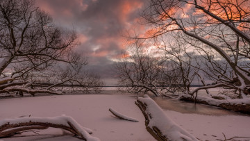 Картинка природа зима снег