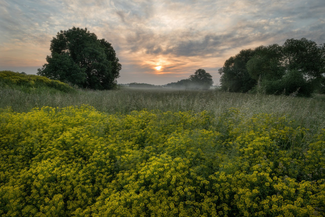 Обои картинки фото природа, луга, простор