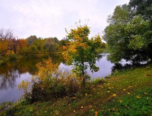 Картинка природа реки озера река берега деревья осень