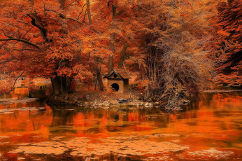 обоя разное, компьютерный дизайн, парк, осень, деревья, озеро, листья, будка