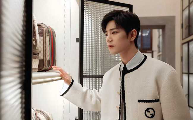 Обои картинки фото мужчины, xiao zhan, актер, пиджак, полки, сумки