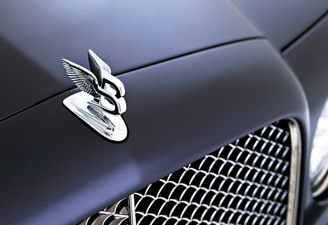 Обои картинки фото автомобили, фрагменты автомобиля, серый, капот, значок, решетка