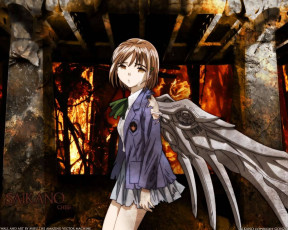 Картинка аниме saikano