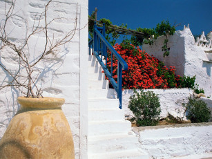 Картинка garden view разное