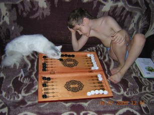 Картинка наша коша нарды играть умеет животные коты