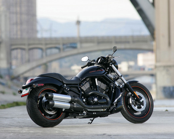 Обои картинки фото мотоциклы, harley, davidson