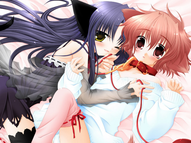 Обои картинки фото аниме, animals