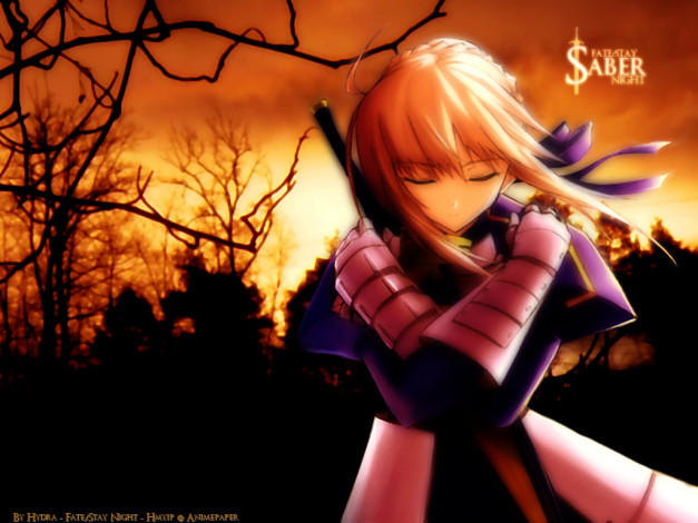 Обои картинки фото аниме, fate, stay, night