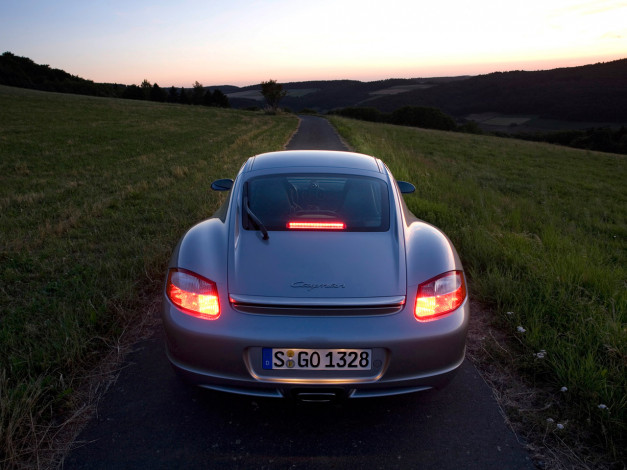 Обои картинки фото автомобили, porsche