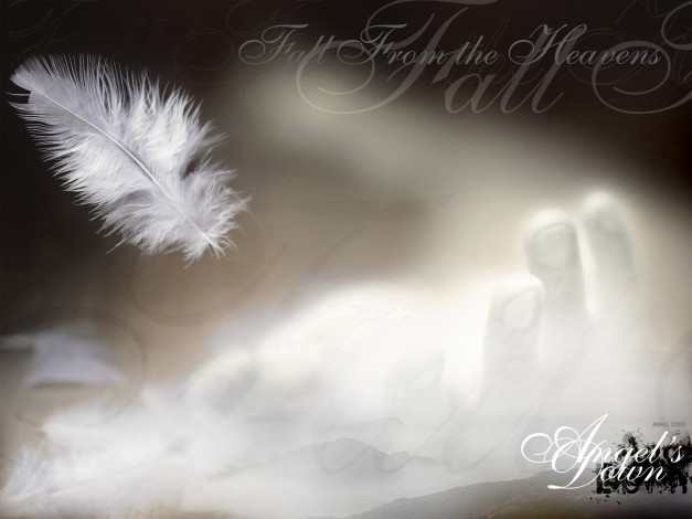 Обои картинки фото разное