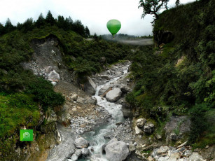 Картинка бренды нтв