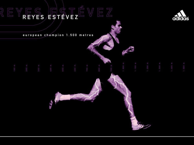 Обои картинки фото бренды, adidas