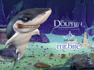 обоя el, delf&, 237, la, historia, de, un, so&, 241, ador, мультфильмы, the, dolphin, story, of, dreamer