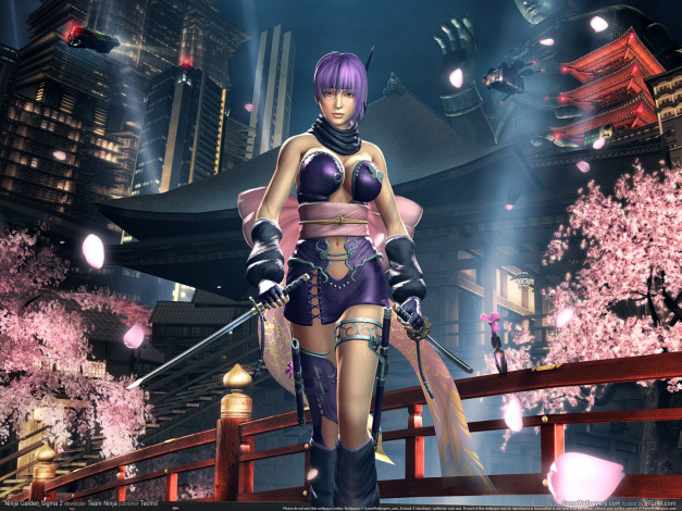 Обои картинки фото ninja, gaiden, sigma, видео, игры