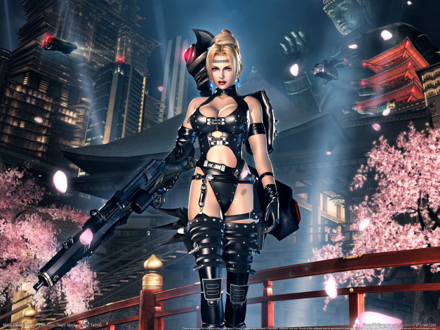 Обои картинки фото ninja, gaiden, sigma, видео, игры