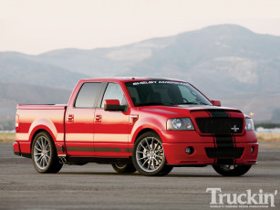Картинка 2010 ford shelby f150 super snake автомобили custom pick up
