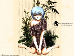 Картинка neon genesis evangelion аниме