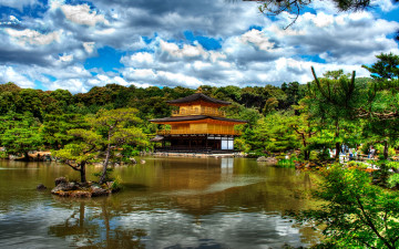 Картинка природа парк