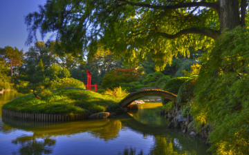 Картинка природа парк