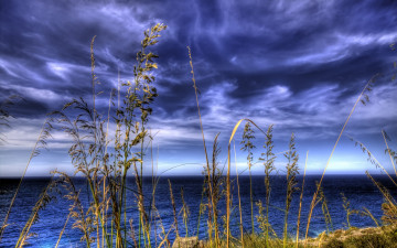 Картинка природа реки озера