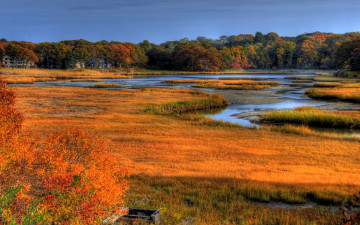 Картинка природа реки озера