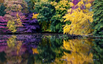 Картинка природа реки озера