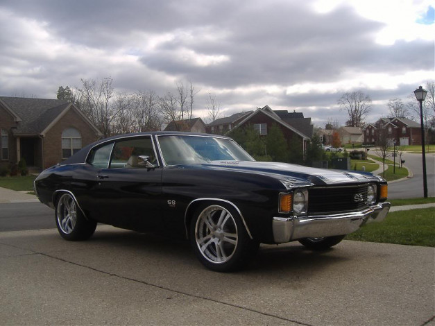 Обои картинки фото автомобили, выставки, уличные, фото