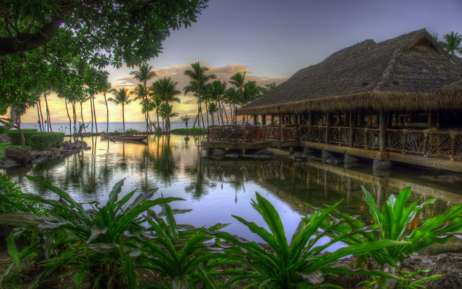 Обои картинки фото природа, тропики