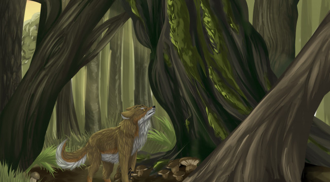 Обои картинки фото рисованное, животные,  волки, лес, взгляд, волк, фон