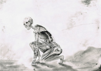 Картинка рисованное абстракция скилет фон взгляд