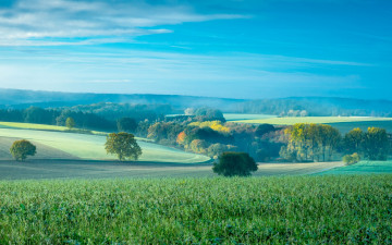 Картинка природа пейзажи холмы осень поля деревья