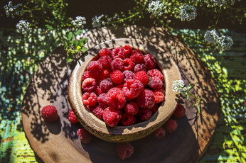 Картинка еда малина снедь